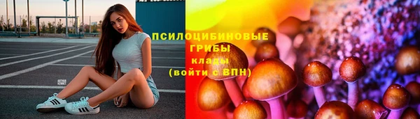 индика Алзамай