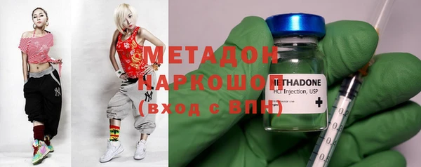 индика Алзамай