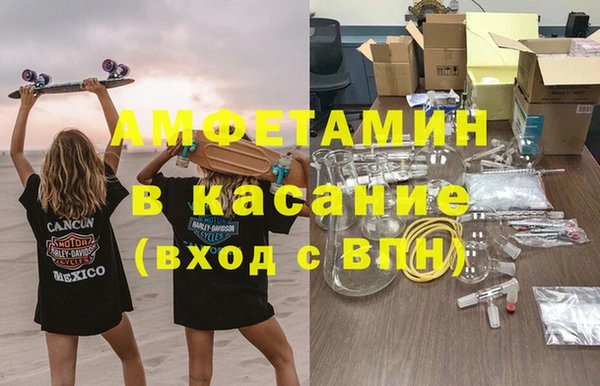 индика Алзамай