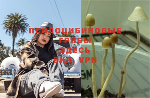 стаф Алексеевка