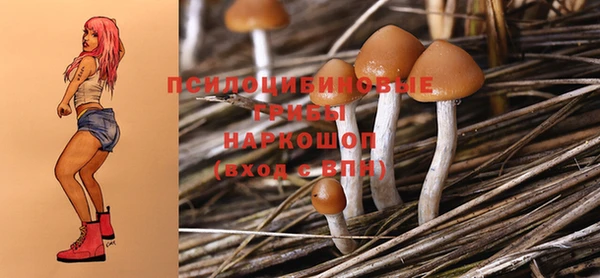 кокаин Алексин