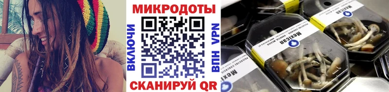 Псилоцибиновые грибы Psilocybe  где найти наркотики  Красноуральск 